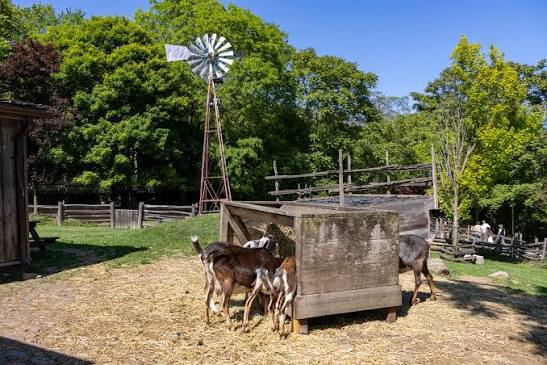 Riverdale Farm